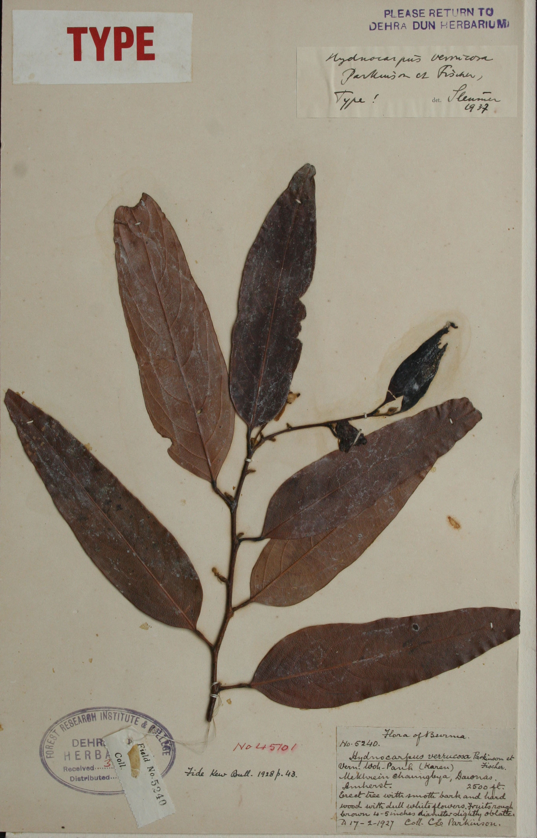 FRI Herbarium